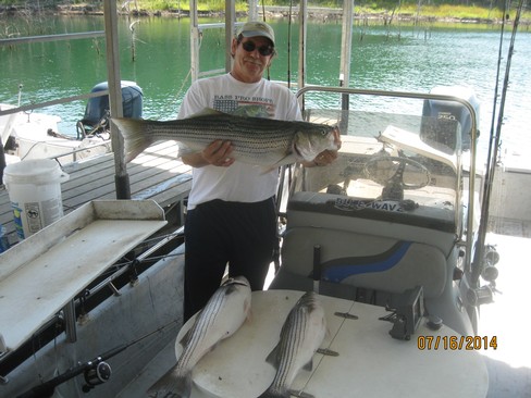 Nice Striped Bass